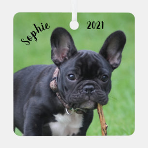 Personalized Playful French Bulldog Puppy Ornament Aus Metall