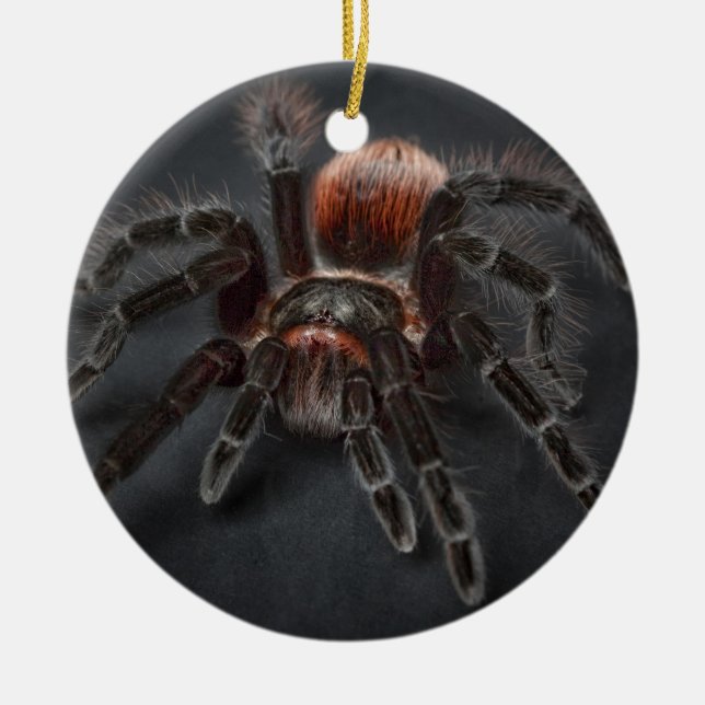 Personalized Tarantula Spider Christmas Keramik Ornament (Vorne)