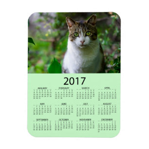 Personifizieren Sie diesen grüne Minikalender des Magnet