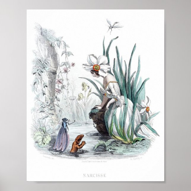 Personifizierte Blume - affodil Poster (Vorne)