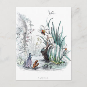 Personifizierte Blumen Postkarte