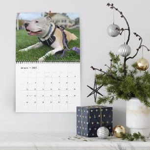 Persönliche Erinnerungen an Hunde erstellen Kalender