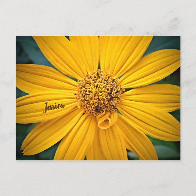 Persönliche Gestaltung der schönen gelben Blume Postkarte (Vorderseite)