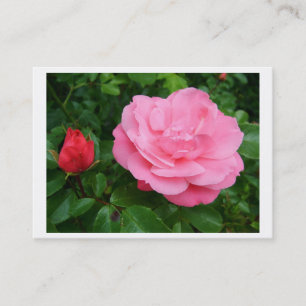 Persönliche Profilkarte, rosa Rose Visitenkarte