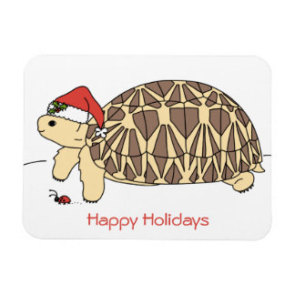Persönliches Star Tortoise Holiday Magnet