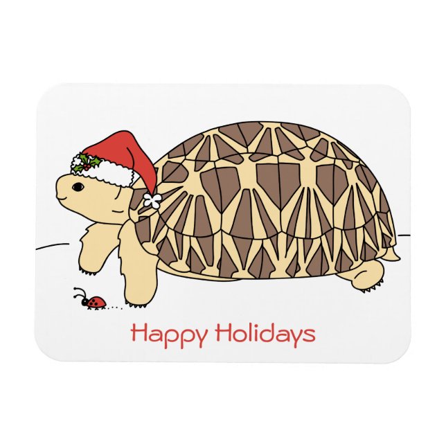 Persönliches Star Tortoise Holiday Magnet (Horizontal)