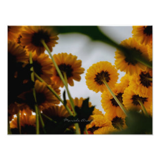 Perspektive Fotodruck