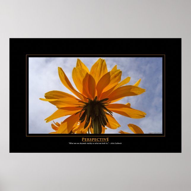 Perspektive Poster (Vorne)