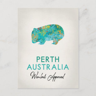 Perth Australia Wombat Postkarte