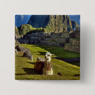 Peru, Anden, Anden-Gebirge, Machu Picchu Button