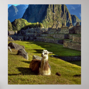 Peru, Anden, Anden, Machu Picchu, 2 Poster