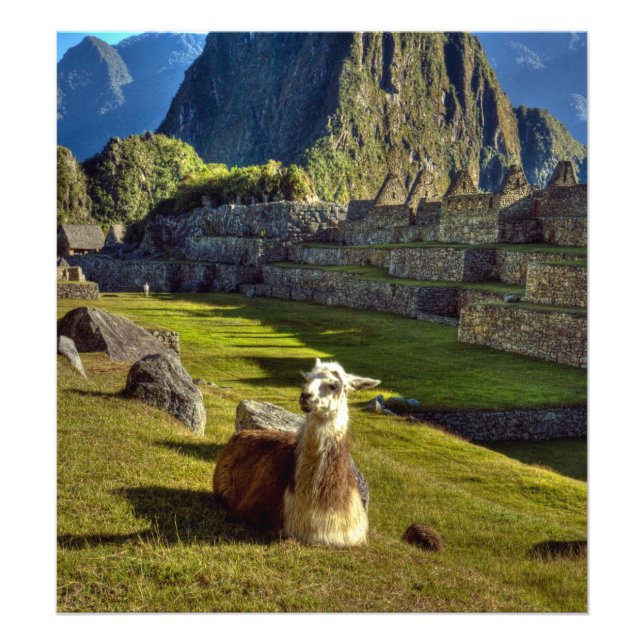 Peru, Anden, Anden, Machu Picchu Fotodruck (Vorne)