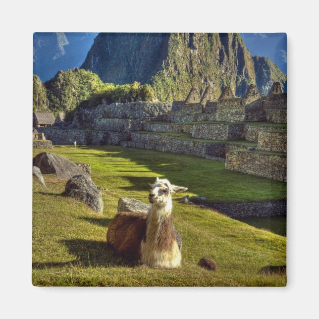 Peru, Anden, Anden, Machu Picchu Magnet (Vorne)