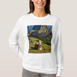 Peru, Anden, Anden, Machu Picchu T-Shirt