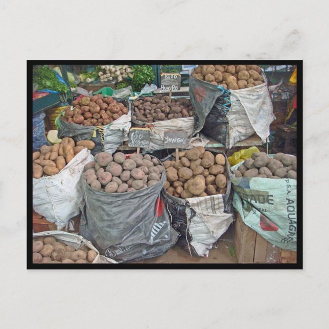 Peru-Land der Kartoffeln Postkarte (Vorderseite)