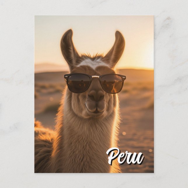 Peru Llama in Sonnenbrille Postkarte (Vorderseite)