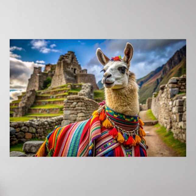 Peru Llama Poster (Vorne)
