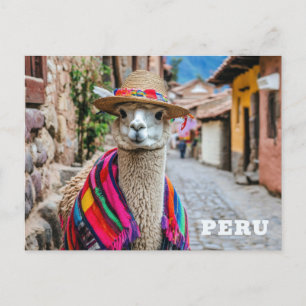 Peru Llama Postkarte