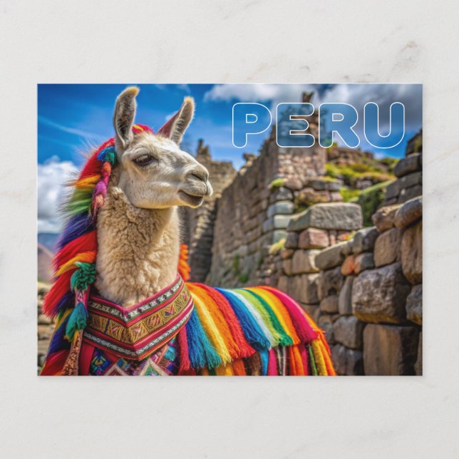 Peru Llama Postkarte (Vorderseite)