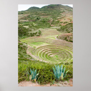 Peru, Moray. Moray Inka-Landwirtschaftslabor Poster