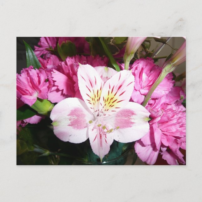 Peruaner Lily Postkarte (Vorderseite)