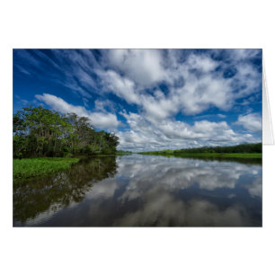 Peruanische Dschungelreflektionen