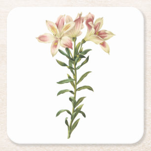 Peruanische Lilie (Alstromeria pelegrina) von Redo Rechteckiger Pappuntersetzer