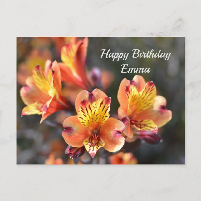 Peruanische Lily-Blume am RHS Garden Wisley Postkarte (Vorderseite)