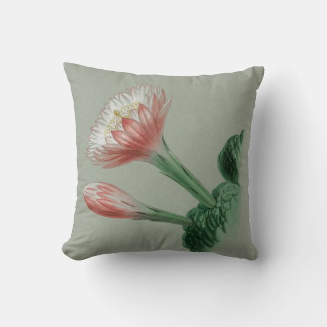 Peruanischer Apple Kissen (Vorderseite)