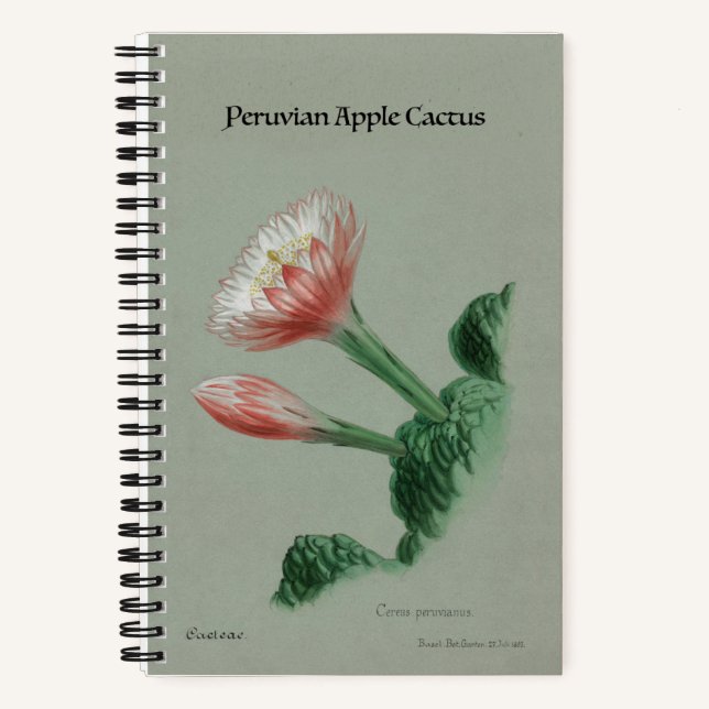 Peruanisches Apple Cactus Notebook - Vintag botani Notizbuch (Vorderseite)