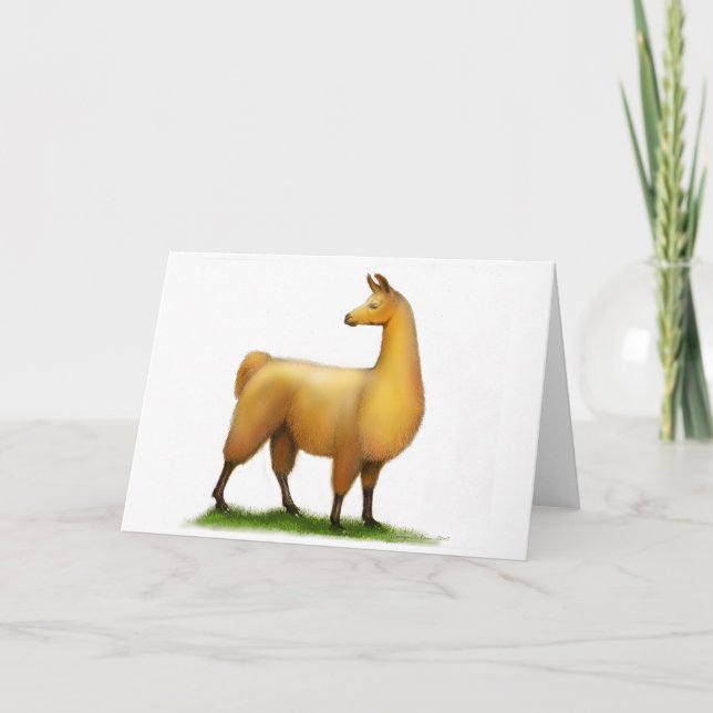 Peruanisches Lama Karte (Vorderseite)
