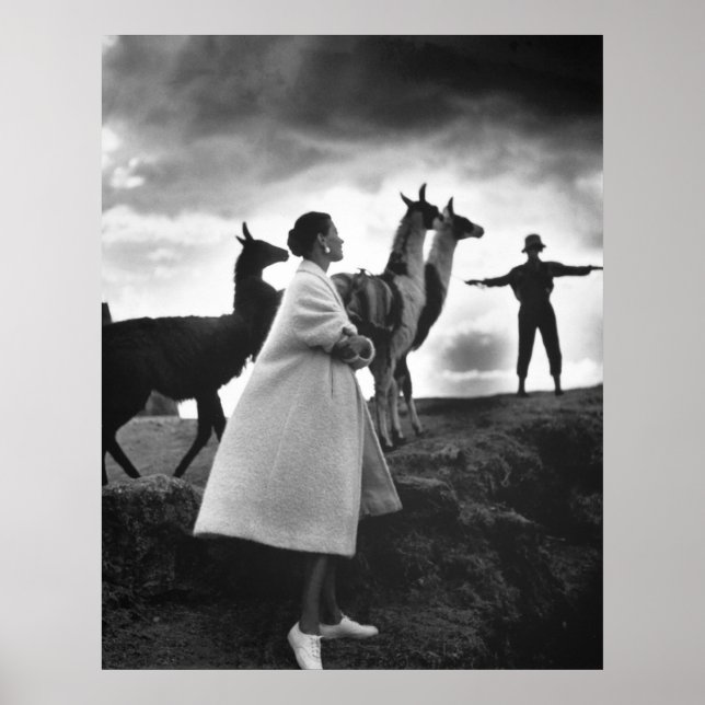 Peruanisches Modeportrait, 1952 Poster (Vorne)