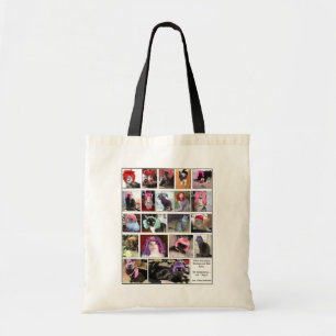 PERÜCKE-TASCHE TRAGETASCHE