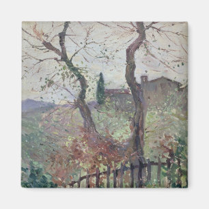 Perugia, Umbrien, 1894 Magnet