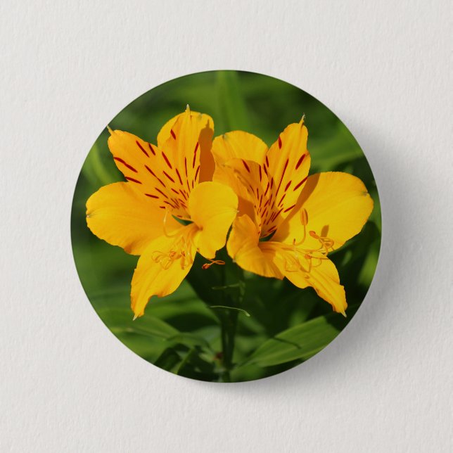 Peruvian Lilies Button (Vorderseite)