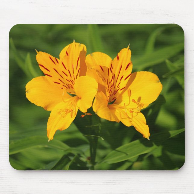 Peruvian Lilies Mousepad (Vorne)
