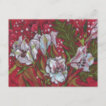 Peruvian Lilies Spring Flowers