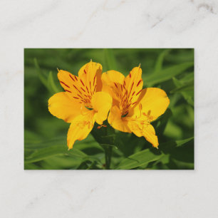 Peruvian Lilies Visitenkarte