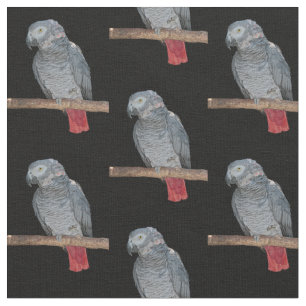 Pesky-Papageienstoff Stoff