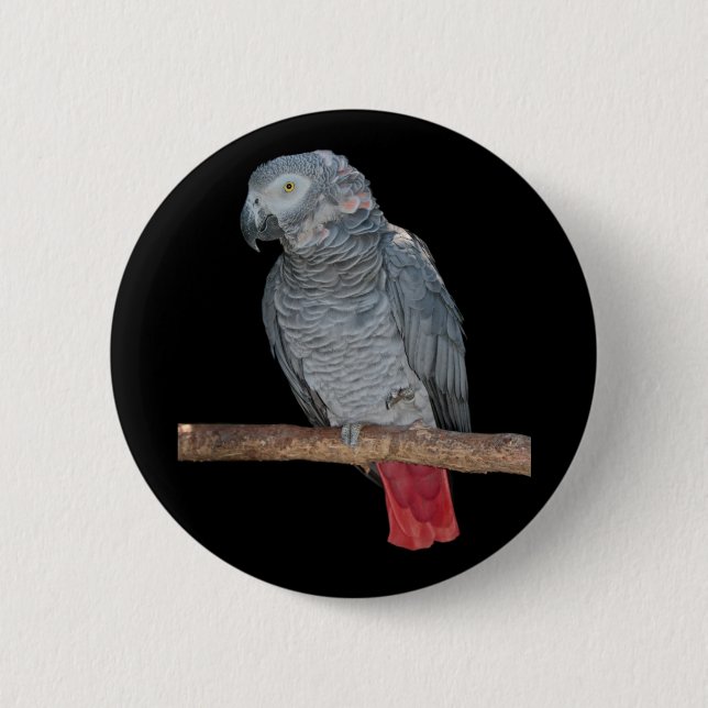 Pesky Parrot Abzeichen Button (Vorderseite)