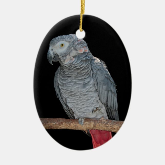 Pesky Parrot Ornament (Vorne)