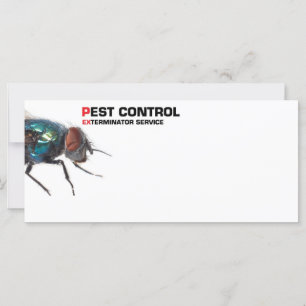 Pest-Kontrolle