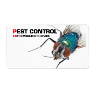 Pest-Kontrolle