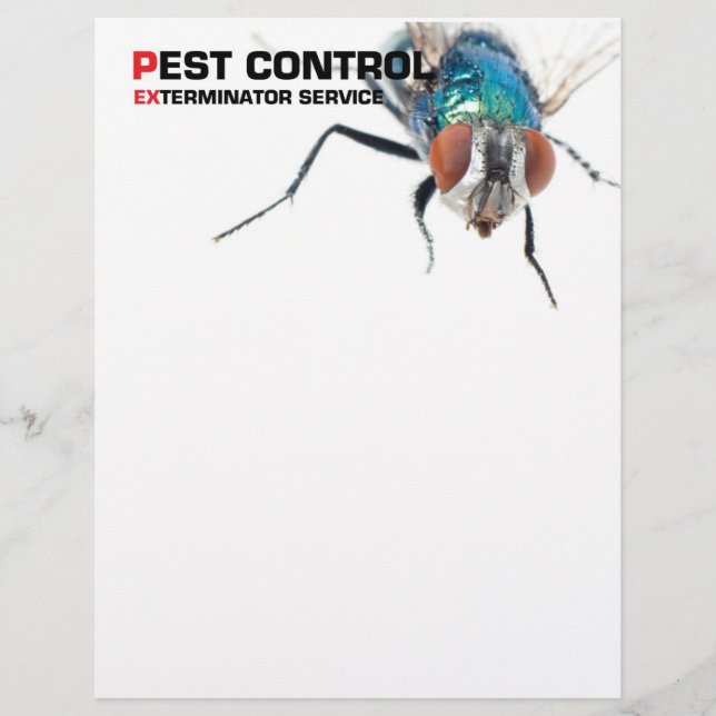 Pest-Kontrolle Flyer (Vorne)