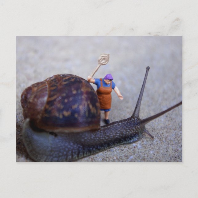 Pest-Kontrolle Postkarte (Vorderseite)