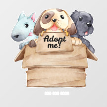 Pet adopting