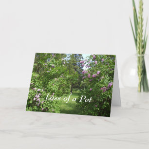 Pet Beileid-Lovely Lilac Bush Card Karte