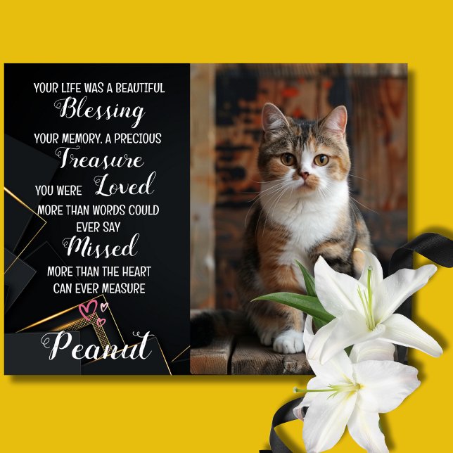 Pet Beileid Personalisiert Foto Cat Loss Karte (Cat death Sympathy Card)