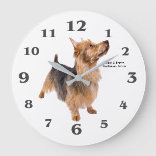 Pet-Bild für die runde, große Wandklemme Wanduhr