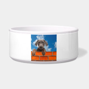 Pet-Bild für große Pet-Bowl Napf